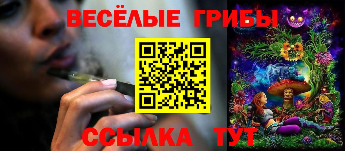 Псилоцибиновые грибы прущие грибы  Вход с VPN  Богородицк 